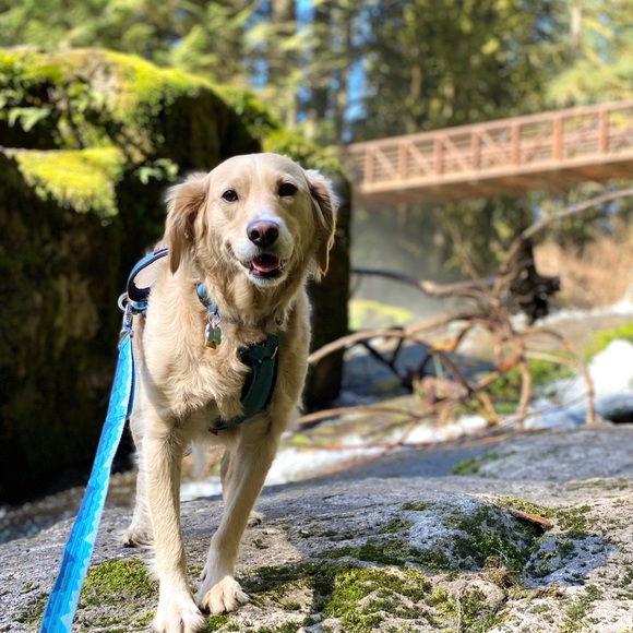 Meet your Posher, Brittney - Picture 4 of 7